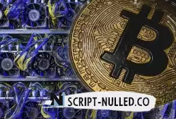 Peer-to-peer Bitcoin mining pool