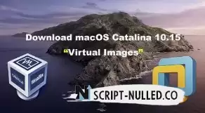 Download macOS Catalina Image file for Virtualbox and VMWare