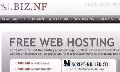 FREE Domain Providers biz.nf