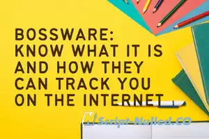 Bossware: know what it is and how they can track you on the Internet