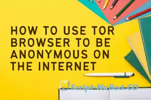 How to use Tor Browser to be anonymous on the Internet