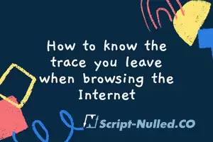 How to know the trace you leave when browsing the Internet