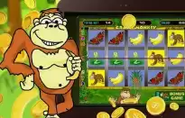 Crazy Monkey Slot game html5 casino