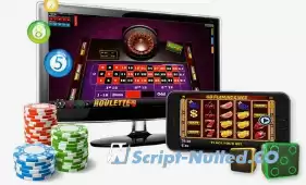 Casino Slot game software