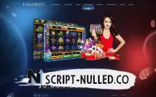 Casino Web Development