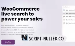 FiboSearch - AJAX Search for WooCommerce (Pro) v1.26.0 NULLED