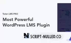 Tutor LMS Pro v2.4.0 NULLED