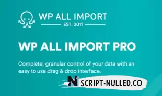 WP All Import Pro 4.8.5