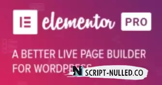 Element or PRO 3.17.1 NULLED - WordPress Page Builder