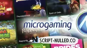 Microgaming Casino Software