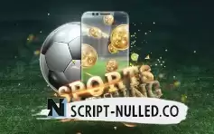 Sports Betting Website