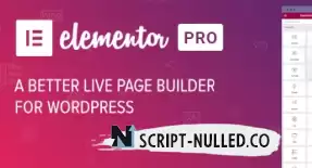 Element or PRO 3.18.2 NULLED