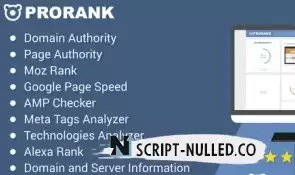 Pro Rank v4.0.1 - site analysis script