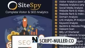 SiteSpy v5.1.2 NULLED - visitor analytics and SEO tools