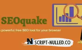 SEOquake. This is a browser plugin