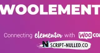 CoDesigner Pro (Formerly Woolementor) v4.3.3.1 NULLED