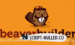 Beaver Builder Pro v2.8.1.2