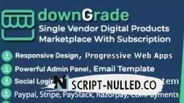 downGrade 6.2 NULLED - trading platform script with subscription